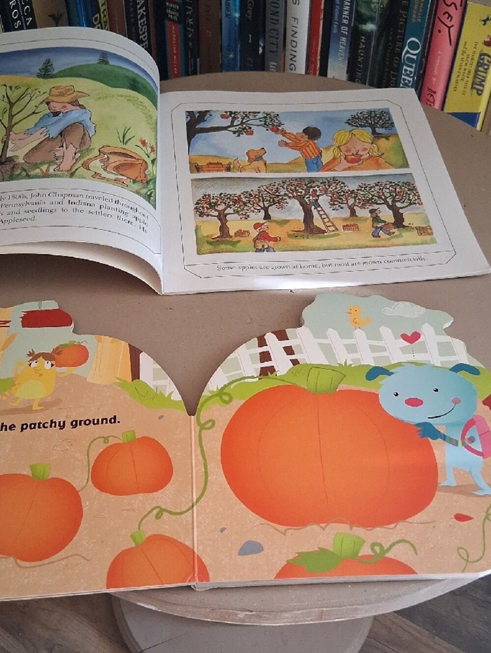 Fall Book Bundle - Picture 2 of 3